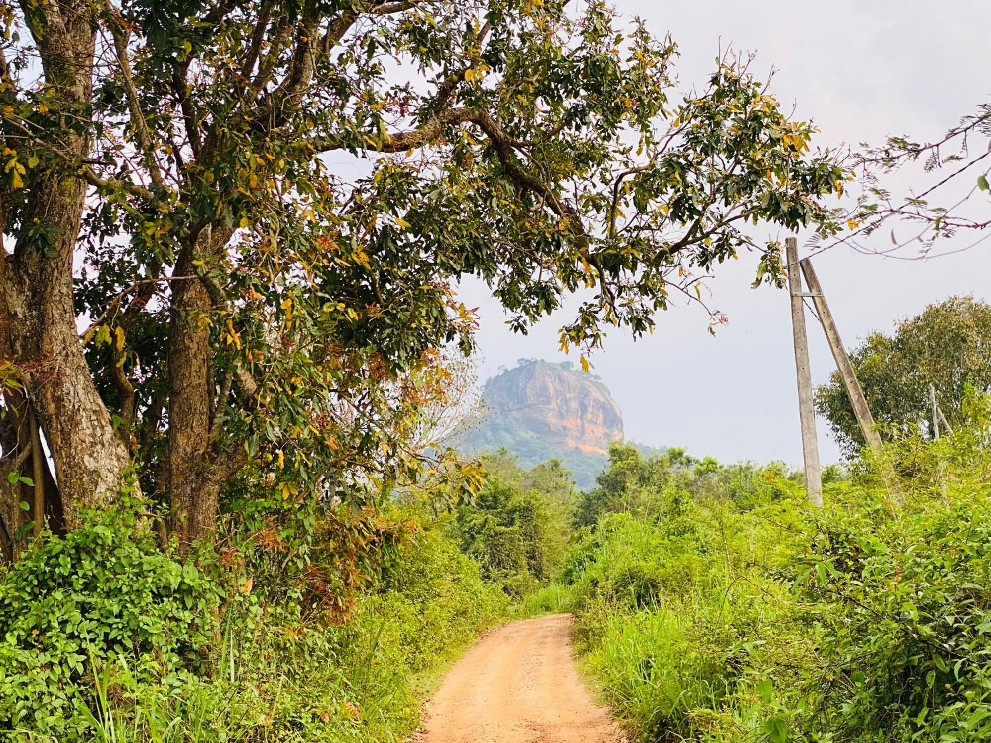 Kele 3* Sigiriya