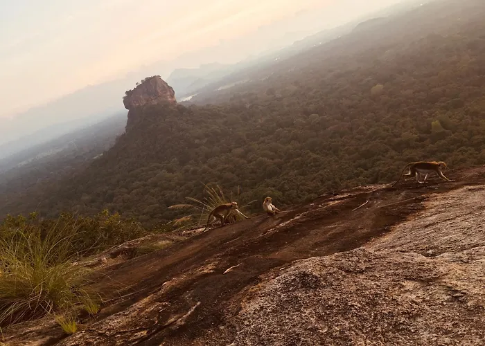Hotel Sigiriya Kele