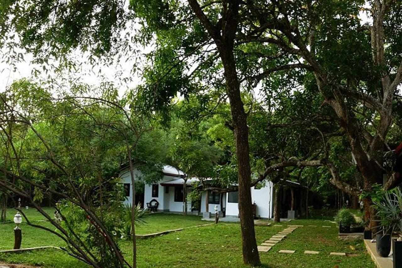 Kele 3* Sigiriya