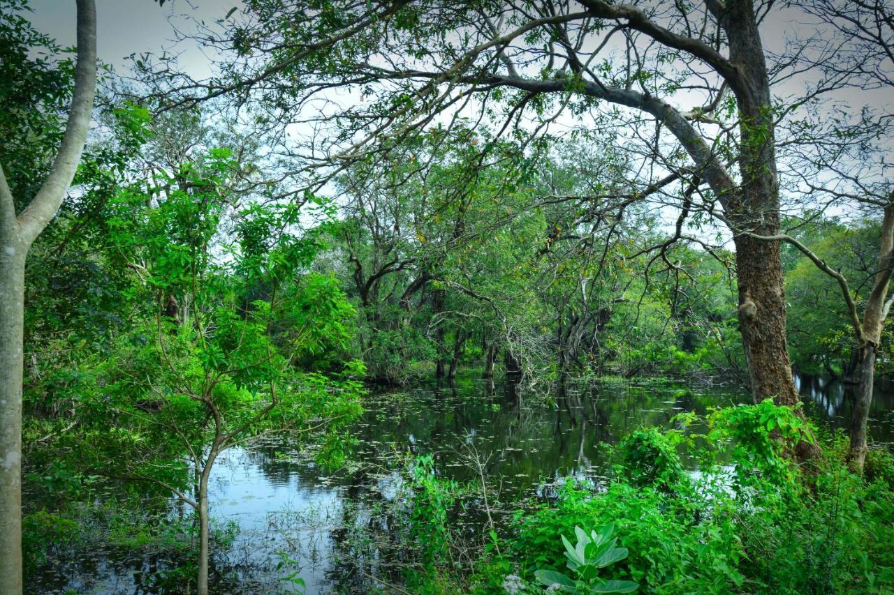 Kele Отель